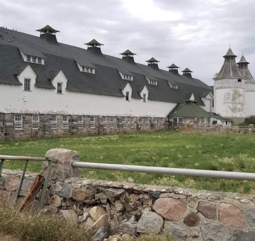 Alex Carey tweet media