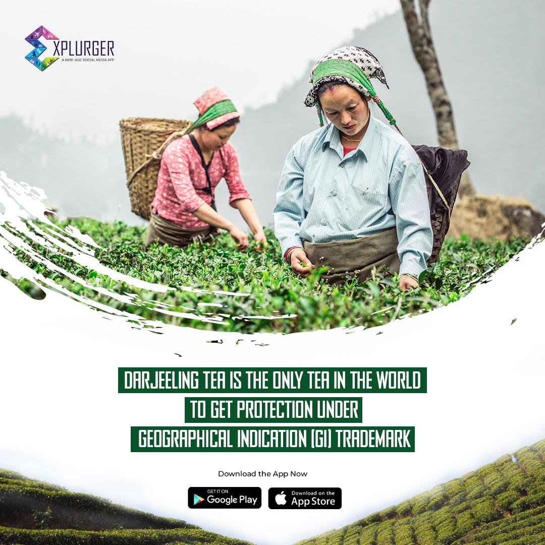 There are many ways that Darjeeling will surprise you and this is just one of them. 🥹❤️

Is Darjeeling on your bucket list? ✨

@JitinBhatia 
@SonuSood 

#explurgerbysonusood
#explurgerapp #travel  #travelGram  #travelvibes #darjeeling #travelfacts
