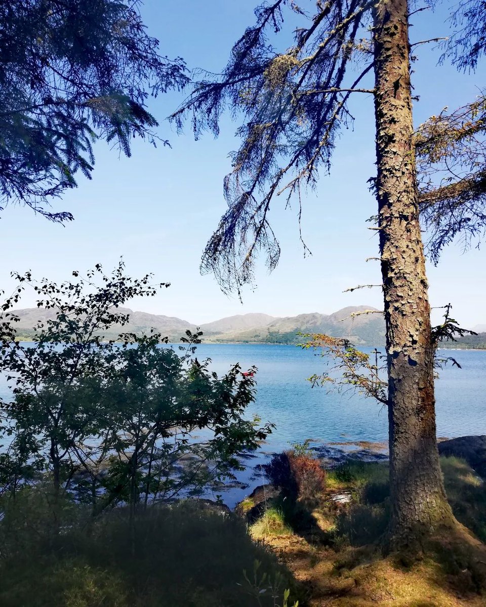 StMarysSpace's tweet photo. The most beautiful picnic lunch spot on our bike ride yesterday.
Utter perfection.
#argyll #scotland #westcoast #scottishhighlands https://t.co/oClfDbzt5V
