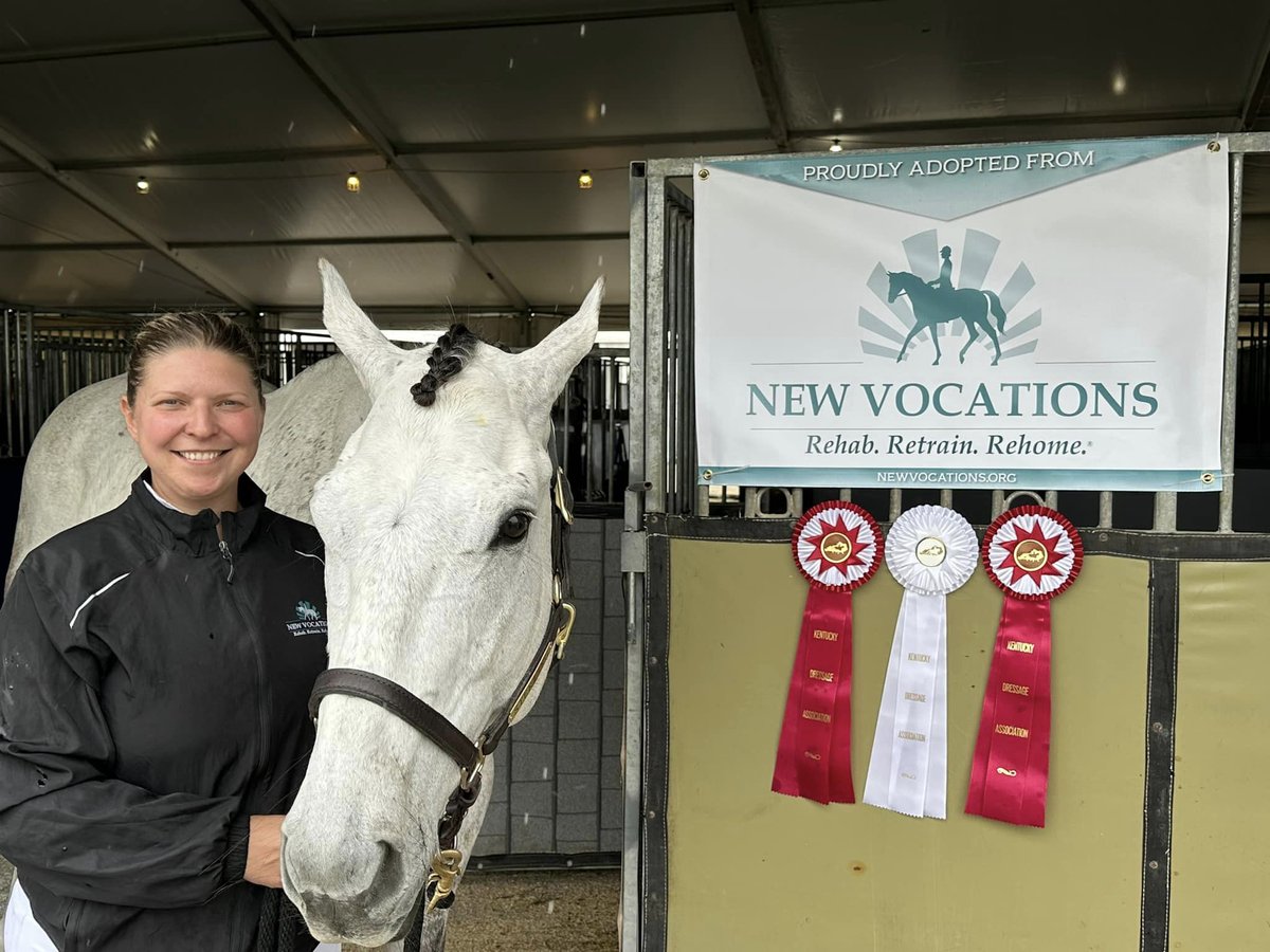 NewVocations's tweet photo. #NVGrad Silver Spur (Anchor Down) was taken to his first Dressage show over the weekend! His adopter shares "So proud of this guy! He improved every day!" Silver Spur had 6 starts in his racing career. @flothejock @SaffieJosephJr #rehabretrainrehome https://t.co/3mAVECuz2W