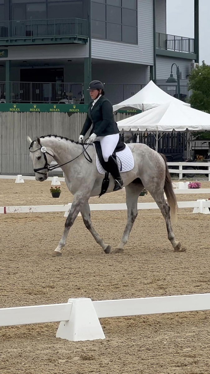 NewVocations's tweet photo. #NVGrad Silver Spur (Anchor Down) was taken to his first Dressage show over the weekend! His adopter shares "So proud of this guy! He improved every day!" Silver Spur had 6 starts in his racing career. @flothejock @SaffieJosephJr #rehabretrainrehome https://t.co/3mAVECuz2W