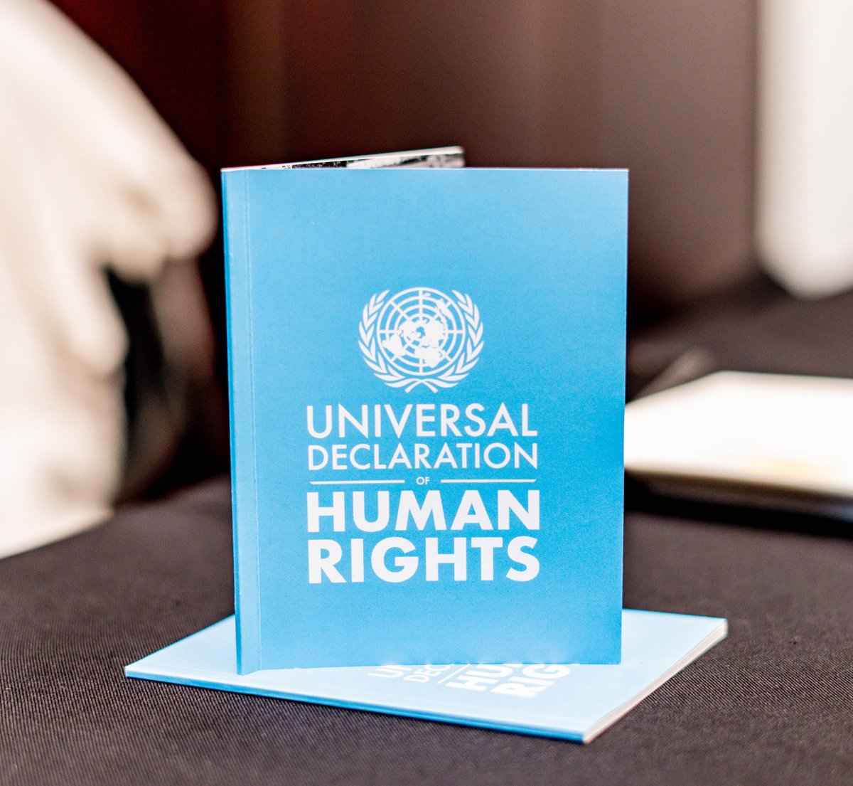Follow_SALC's tweet photo. SALC’s @MelusiSiboniso is attending capacity strengthening workshop for #journalists on #HumanRights and #DigitalSecurity hosted by
@ohchr_sa in Johannesburg. #StandUp4HumanRights #UNDHR #SeventyFive #UN75
@NLinSouthAfrica https://t.co/XaDc5SOUbb