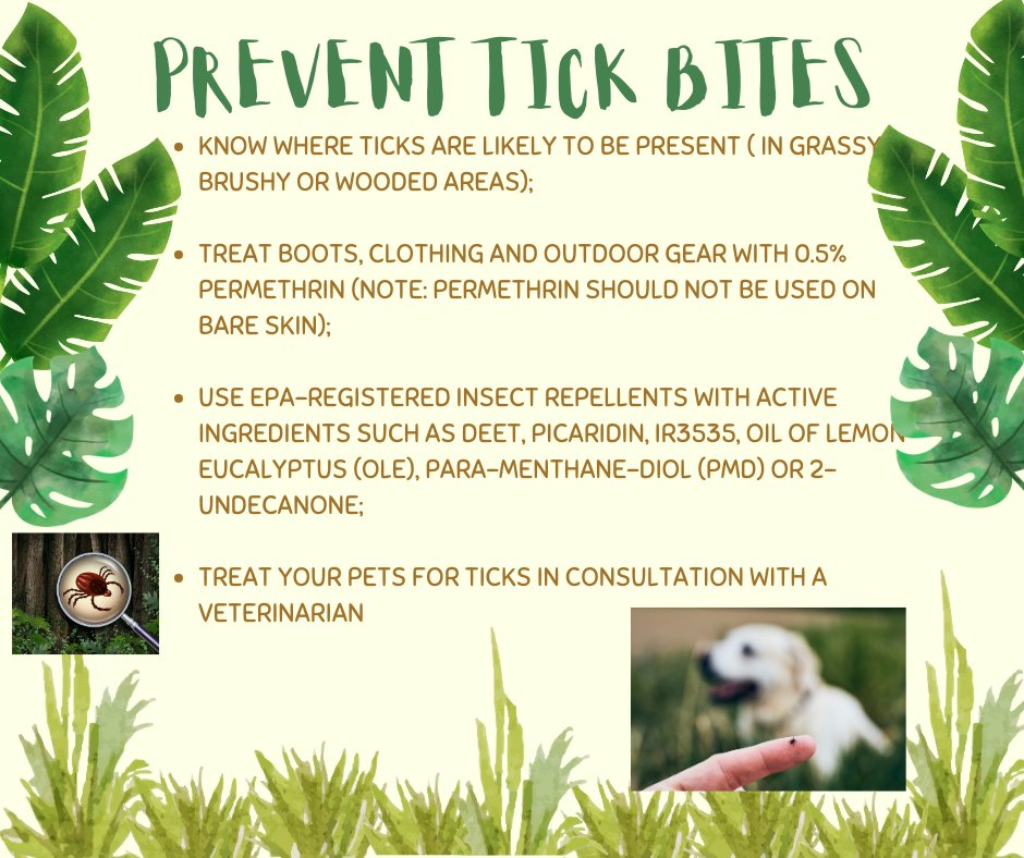 Hoosiers are urged to protect themselves by taking precautions against tick bites. Tick-borne diseases are at its highest for the next few months.
For more info about ticks and preventing tick-related diseases, visit: in.gov/isdh/20491.htm.