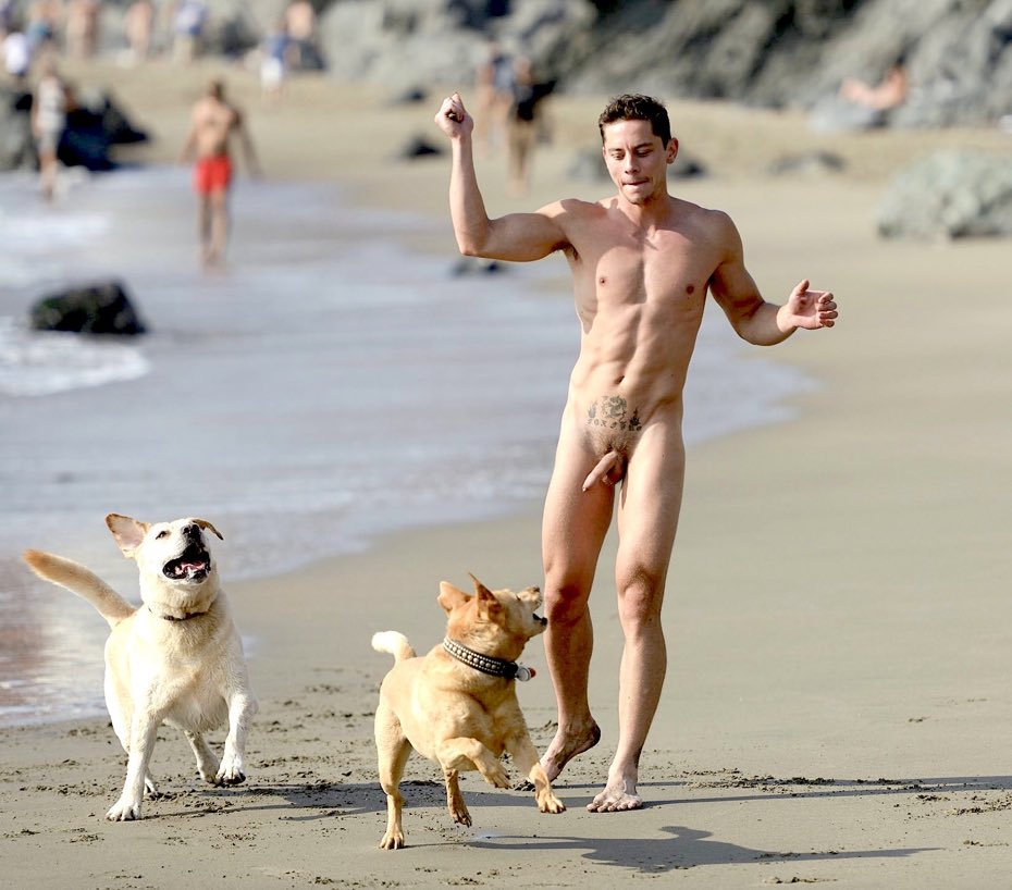 tripnc222's tweet photo. A Boy and His Dogs https://t.co/c61QEbBJ49