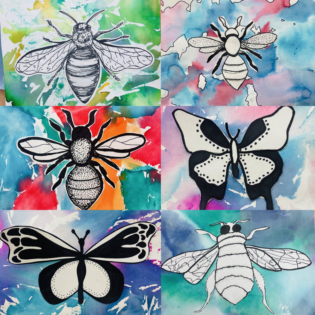 My 7th grade ended their year with awesome tissue paper stained insects 🐞 @BereaCSD @BmmsTitans #middleschoolart #BeATitan