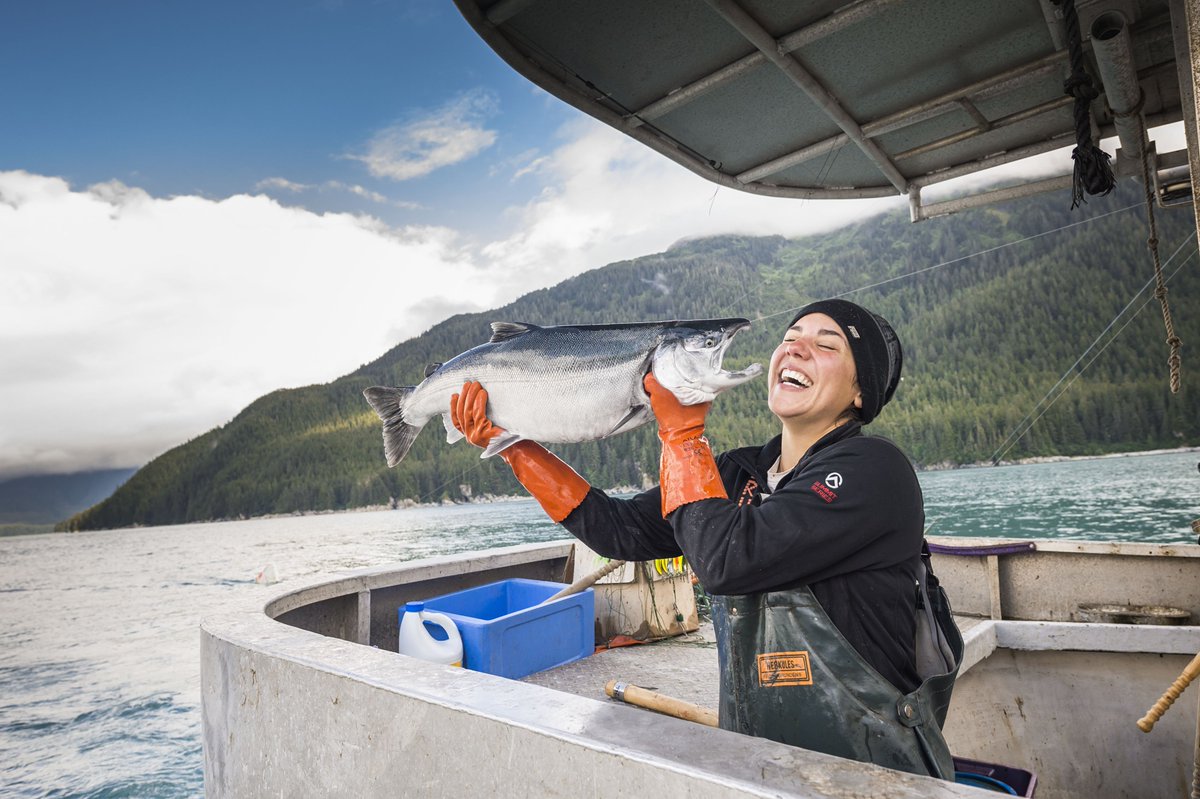 #Salmonseason is here, and we're hooked 🎣

Wild Alaska salmon is packed with the healthy omega-3 fatty acid, DHA, and contains exceptionally high omega-3 levels, which helps to ensure a #healthyheart, #brain, #immunesystem, #vision, #nervecells and #gums. ❤️🧠