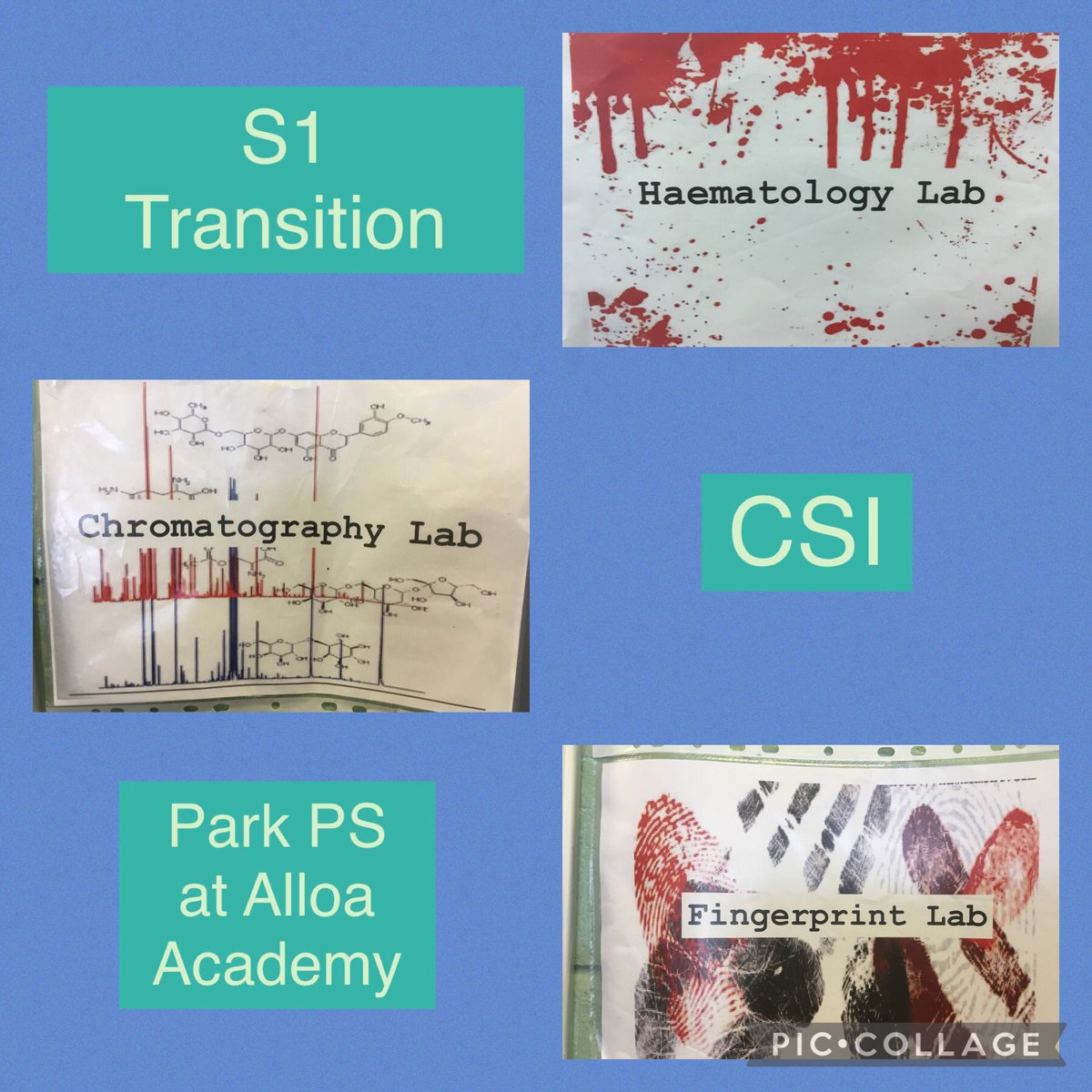 ParkPSClacks's tweet photo. Thank you @AlloaScience for our transition CSI event. Lots of great practical investigating and the classes had a great time accusing the guilty party 🧐🤫
@AlloaAcademy #transition #science #whodunit https://t.co/1yB3AYmaeu