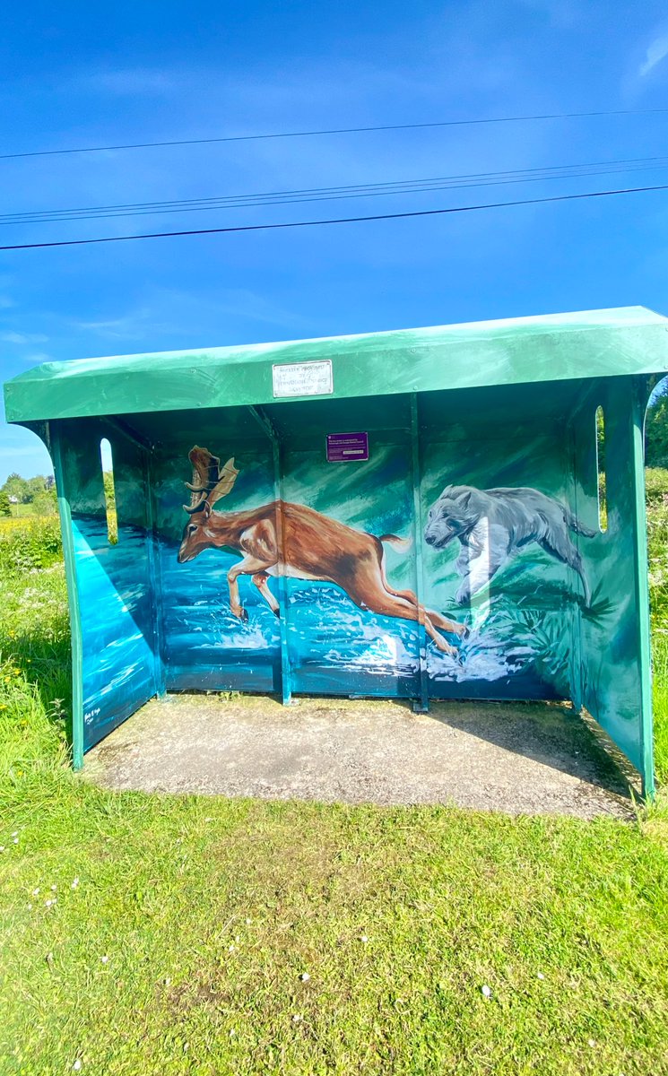 How fab is this bus shelter artwork in Boho, County Fermanagh?!?! 

(<a href="/KevinMcHughArt/">Kevin Mc Hugh</a> is the artist 👏🏼👏🏼👏🏼  Spotted this yesterday on my travels in fantastic Fermanagh 😎)