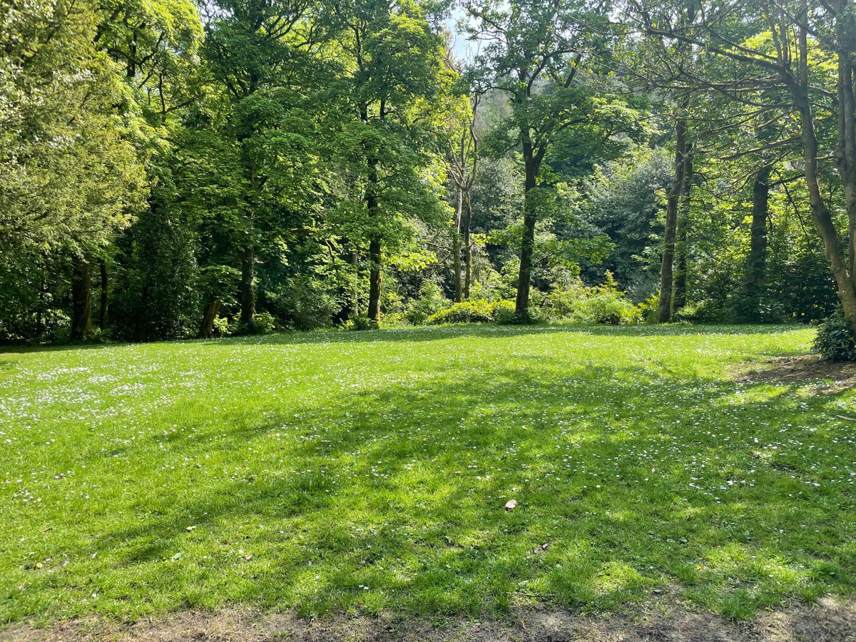 NaturebasedInt's tweet photo. 🎨🍃 Exciting news from #NatureBasedIntegration! our upcoming workshops at @Livingunderonesun! Join us to dive into a world of creativity, learn innovative techniques, and craft unique artworks using elements inspired by nature. 🍃📸 #ArtWithNature #CommunityArt #NatureInspired https://t.co/Ss0Gjzv28h