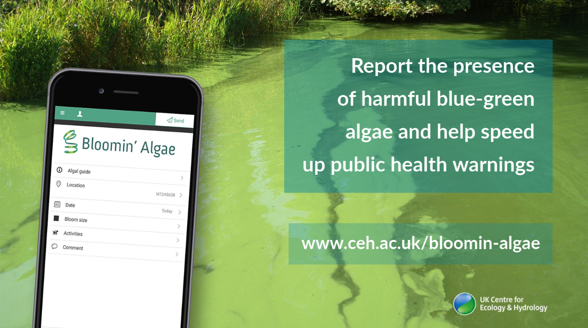 Help protect public health risks from harmful blue-green algal blooms with #BloominAlgae App. More info at: daera-ni.gov.uk/news/help-prot… @UK_CEH  @EnvironmentNI @WalkNI @nidirect #citizenscience @cedarnmni