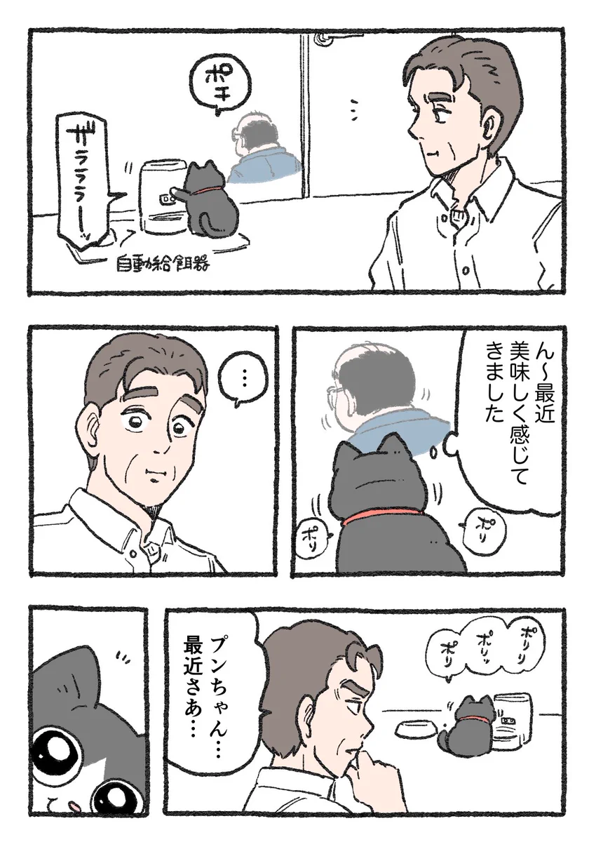 「ねこ転」その115が公開！ねこ生活を満喫しているプンちゃんにある変化が…！？