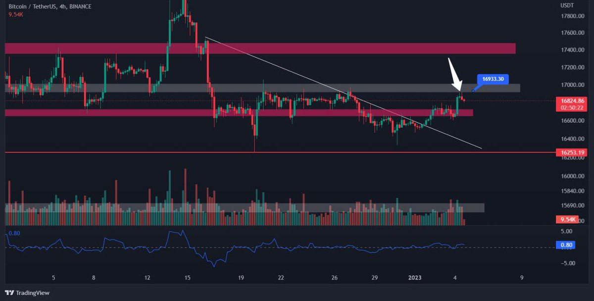 forextcommunity's tweet image. ⚠️ Have you lost money via signals / copying trading?. Hopefully my investments helps some individuals from even starting ❗️ #avoid #forexsignal #copytrading #forex #stocks #forextrader #stocktrader