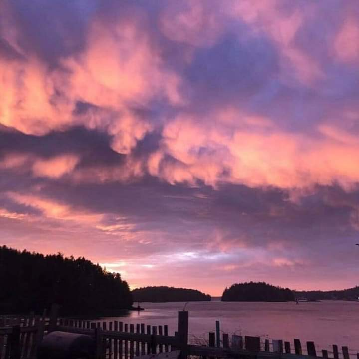 artindetails's tweet photo. purple pink skies https://t.co/FCP5PKdzc0