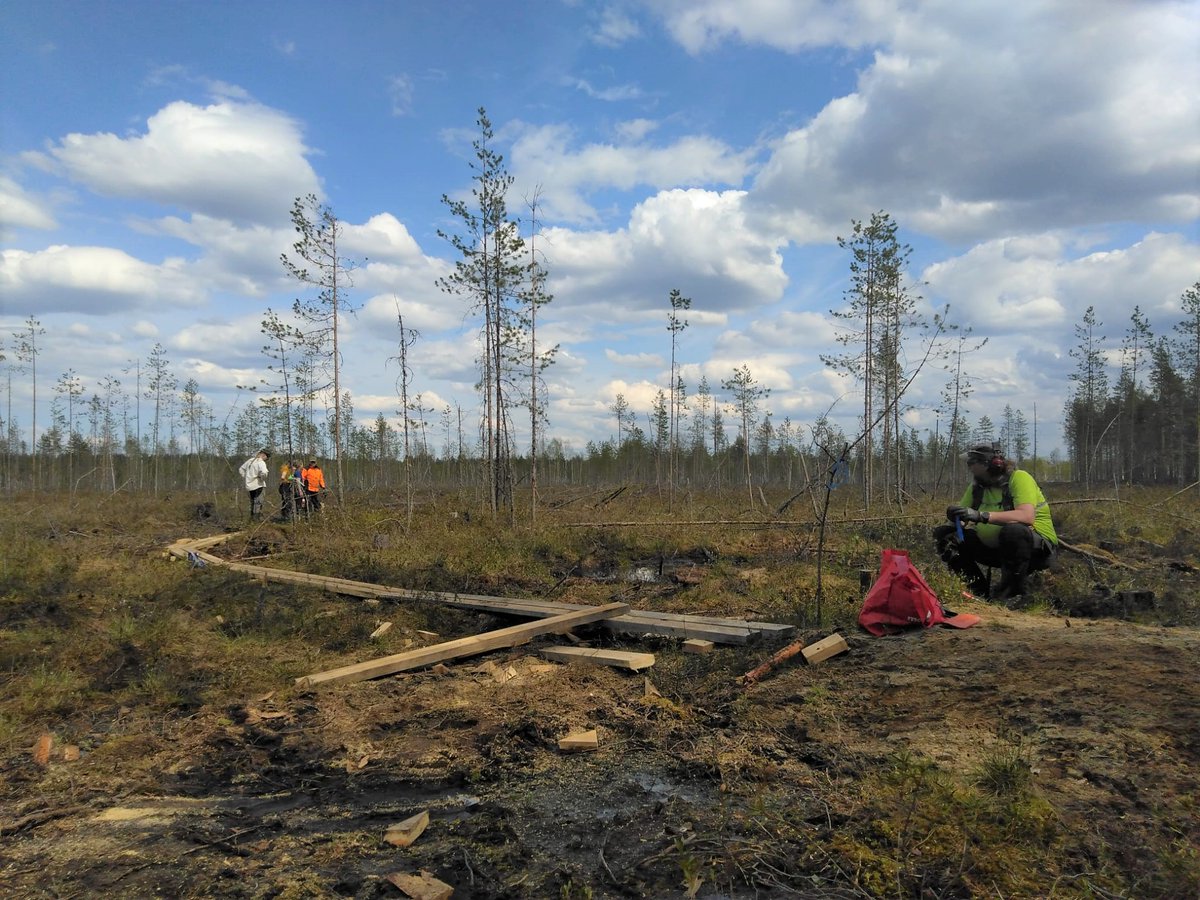 New and fancy boardwalks built: we are ready for the field season with our two #peatland #restoration projects: #TurvaHiili and #RaPa (Rahkasammalen paluu), in which we pilot and test restoration practices! #HiilestäKiinni