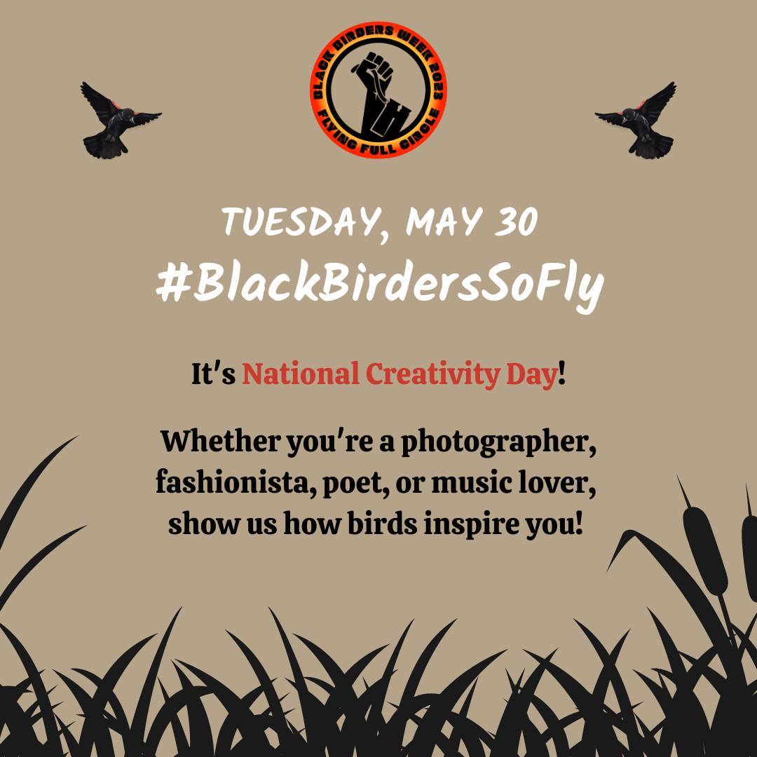 BlackAFinSTEM's tweet photo. Happy Tuesday and #NationalCreativityDay! It's Day 3 of #BlackBirdersWeek, #BlackBirdersSoFly is all about art &amp; style, &amp; what better way to celebrate than to join us for a live art session w/ @blackandbirdypots &amp; @cornellbirds @uproot_project will also be hosting an evening talk https://t.co/vona3vcJUS
