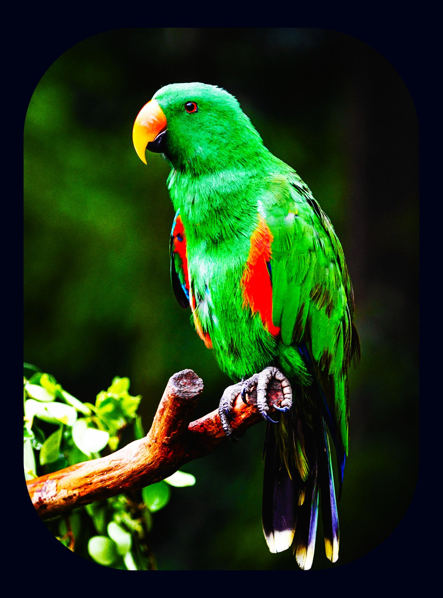 avionne-she-her-on-twitter-good-morning-writingcommunity-let