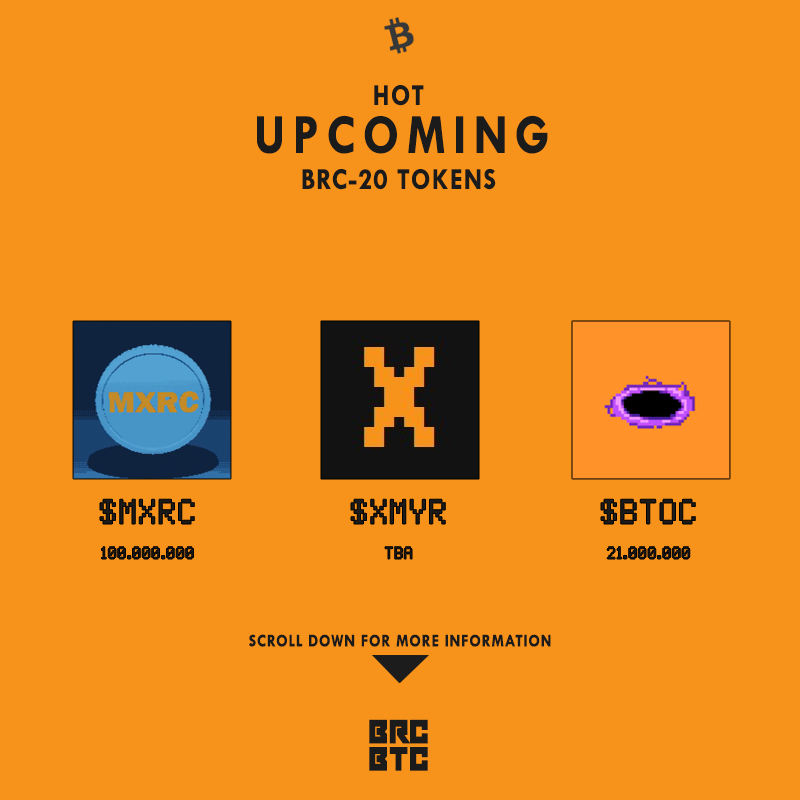BrcBtc tweet media