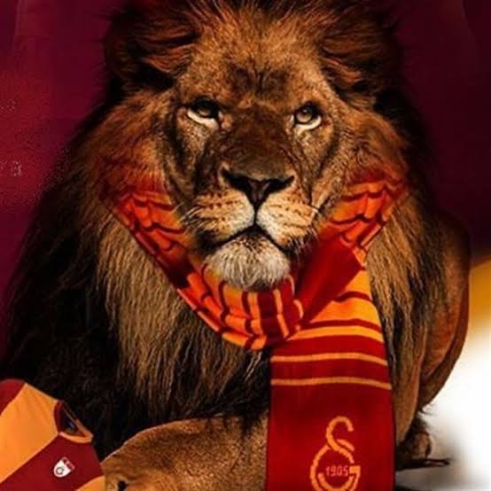 ejderha_goz's tweet photo. #Saat20.00 beklenmekte ♥️🦁💛 https://t.co/O1vxBUbUZx