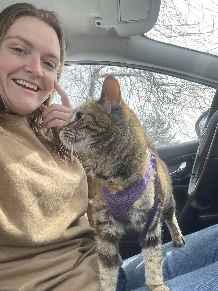 Yup, I’m that person - took the cat for a pup cup at Starbucks 😅 #roadtrip #adventurecat