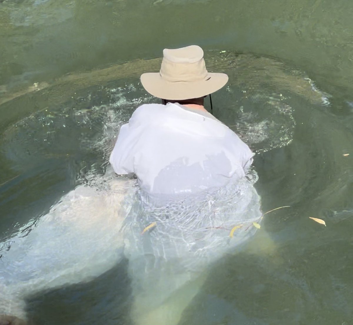 KeithWKiser's tweet image. Getting re-baptized by my friend and pastor Ronnie of 38 years in the Jordan River: priceless