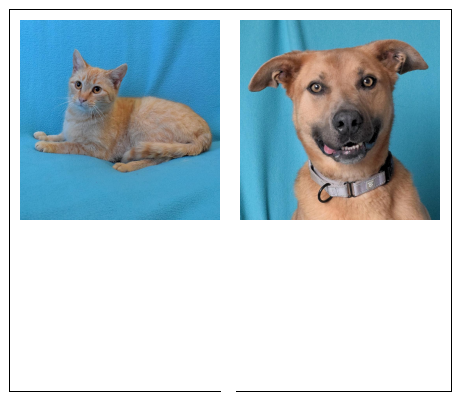 SequoiaHumane's tweet photo. Adopt a dog: https://t.co/TY5ZZVBbGH
Adopt a cat: https://t.co/UPFQIwFAkd
#dog #cat https://t.co/ED9SATBUR3