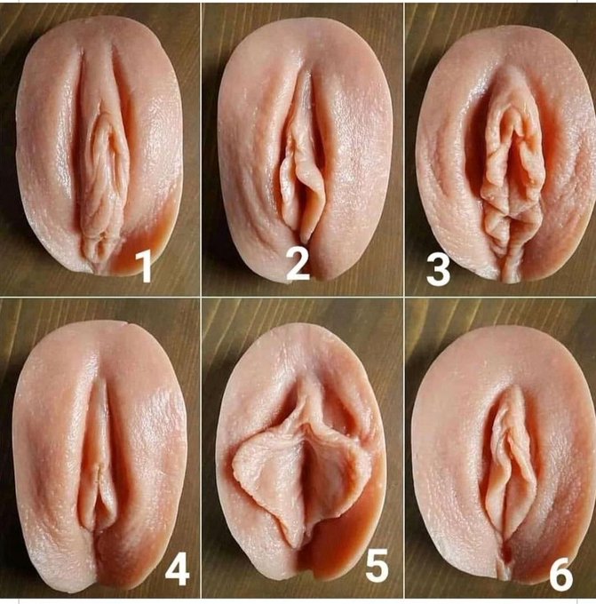 Cu&aacute;l es tu favorita? Sin mentir 😏🔥  Aqu&iacute; est&aacute; la m&iacute;a 🤭 https://t.co/yHhGH70Spz<a href="/tag/cat"class="tags"><span>#cat</span></a><a href="/tag/gato"class="tags"><span>#gato</span></a><a href="/tag/catslover"class="tags"><span>#catslover</span></a>