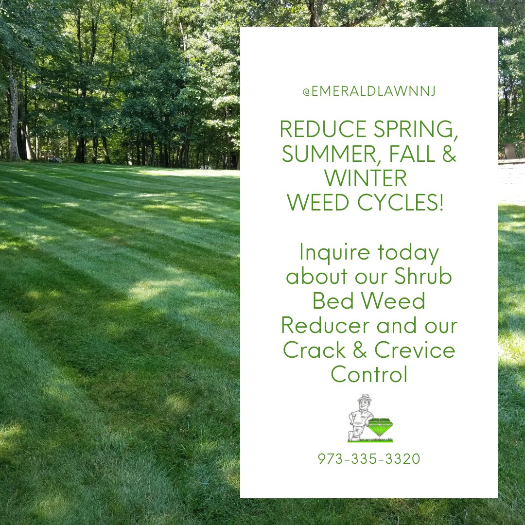 It's not too late to take advantage of our many yearly treatment programs. Call us today to learn more! 973-335-3320

#WeedCycle #Shubs #Weeds #LawnCare #EmeraldLawnNJ #EmeraldLawnScapes #NJLawnCare #NJLandscaper #MorrisCounty #BoontonNJ #NJSmallBusiness #FamilyOwned