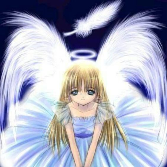 (｡･∀･)ﾉﾞ tweet media