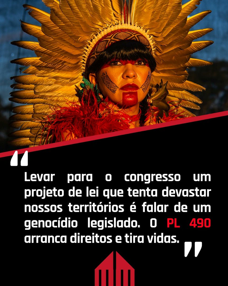 Precisamos lutar pela vida! E isso significa lutar pelos povos indígenas e pelo planeta. 

#PL490NAO 
#genocidiolegislado