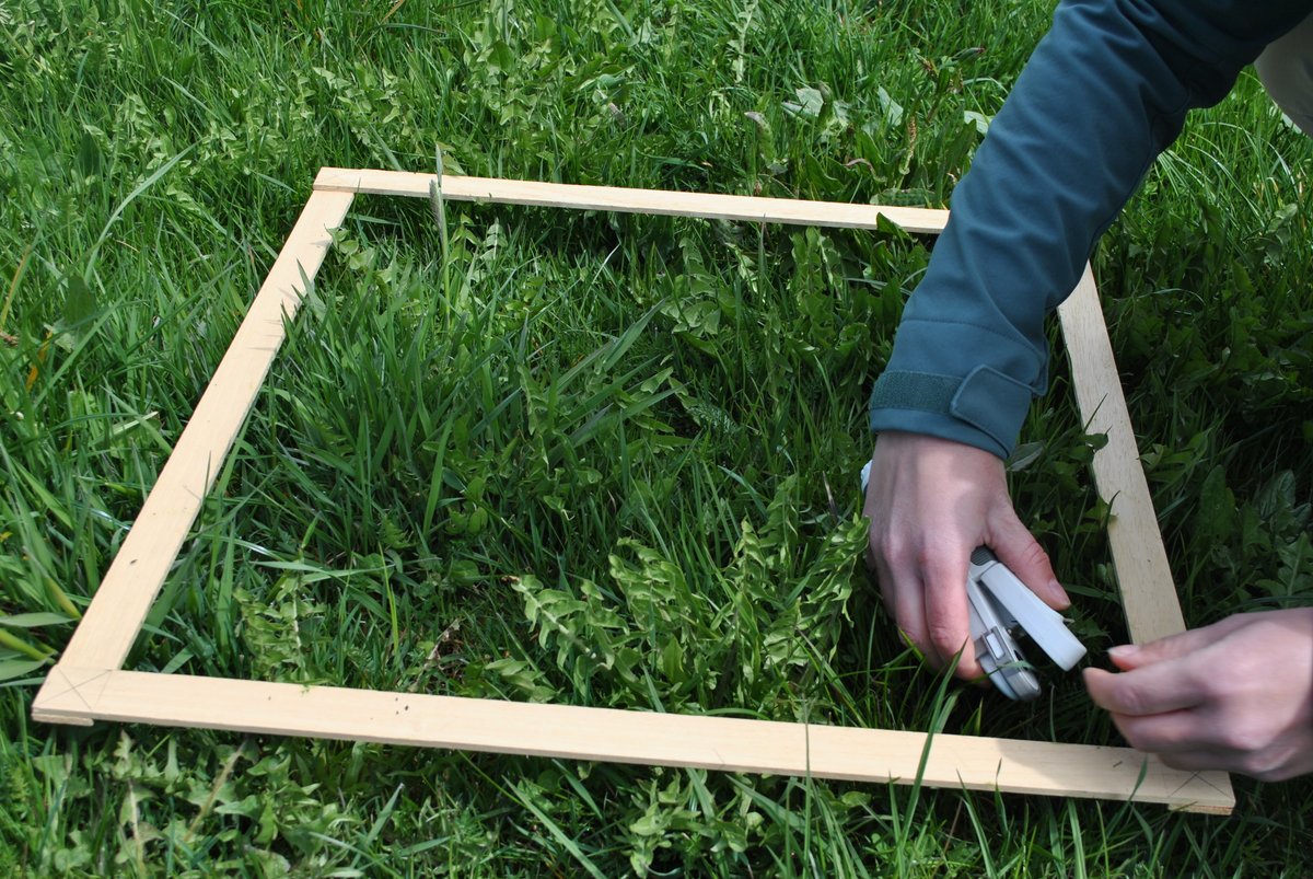 Our researchers started collecting information on the forage yield of #meadows in #southtyrol which can be used for the development of 🛰️based models for monitoring and managing agricultural production and to assess the impact of #drought💧🏔🌱🧑‍🌾 ➕Info👉eurac.edu/en/institutes-…