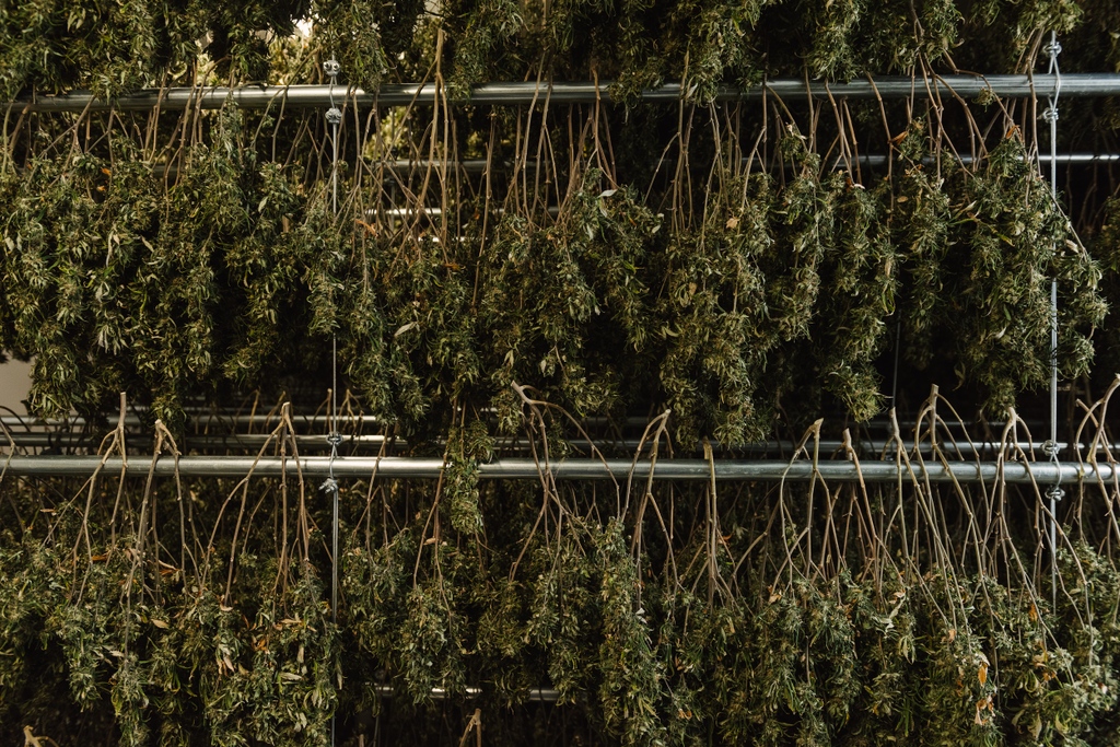 Racks on racks. The smell from this dry room is priceless 🤤