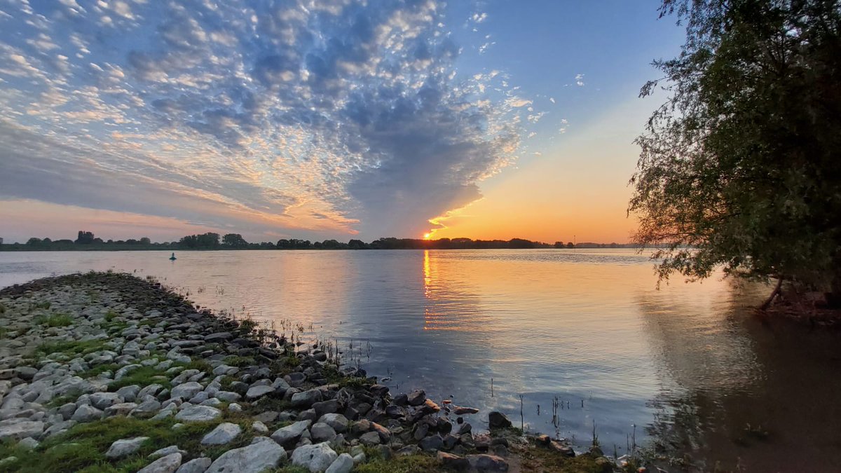 johelm01's tweet image. Zondagochtend aan de Waal.