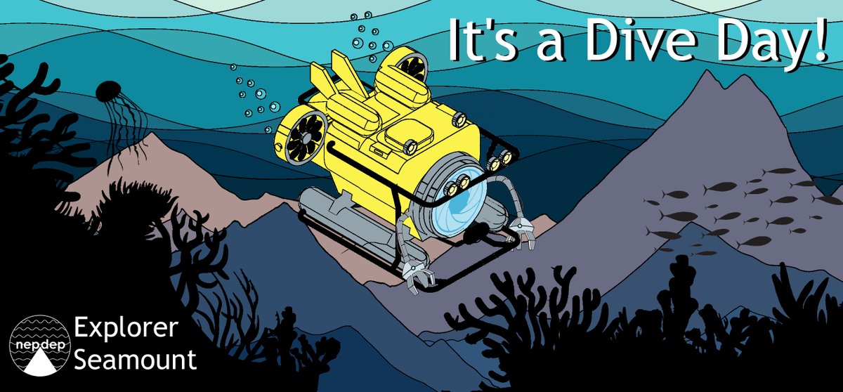 nepdep_'s tweet photo. 🚨 1st #NEPDEP expedition #livedive starting soon!  

🌋🐟🐳🦑🐌🐙🪼We've diving the super volcano Explorer Seamount today!  

📽️https://t.co/03cO2xDQny
or 
🎞️https://t.co/9T2mGyAbcW https://t.co/7crpdHvGfl