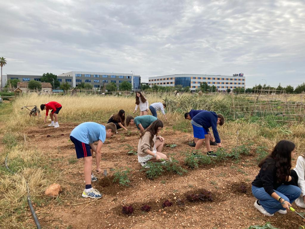 IES Son Pacs tweet media