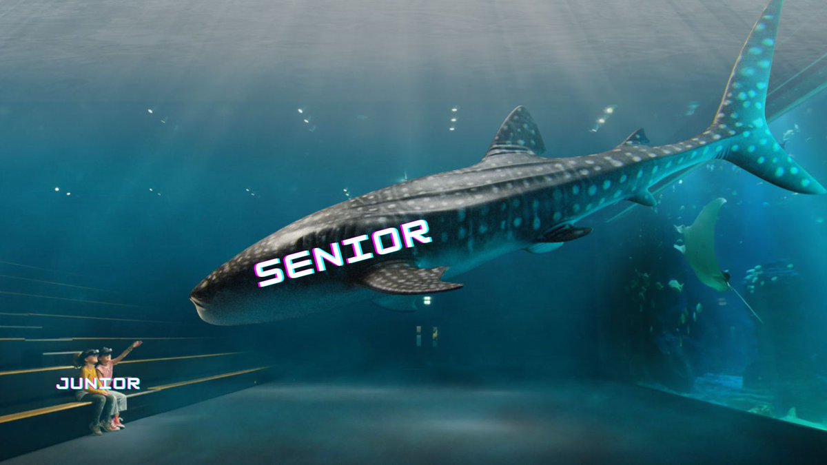 camilleroy_dev's tweet image. Roadmap pour passer de développeur web junior à senior 🚀 (j'ai encore du travail 🫠)

THREAD en 13 étapes 🧵⬇️