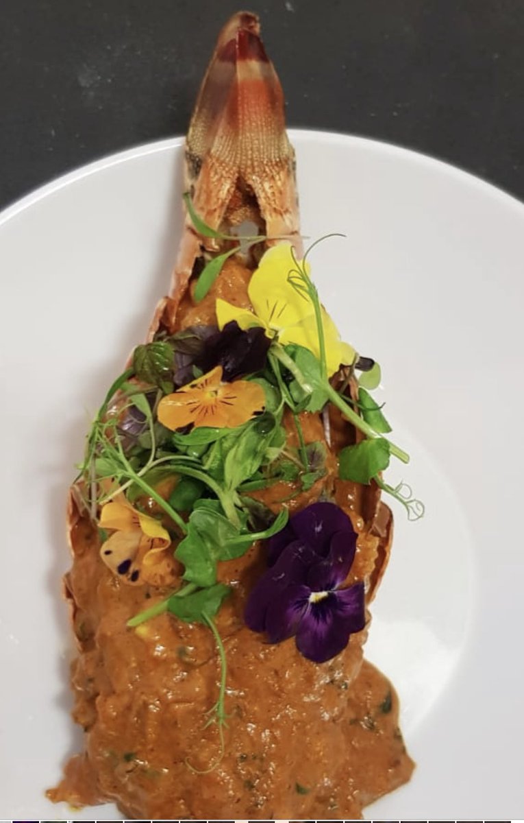 rajesh suri tweet media