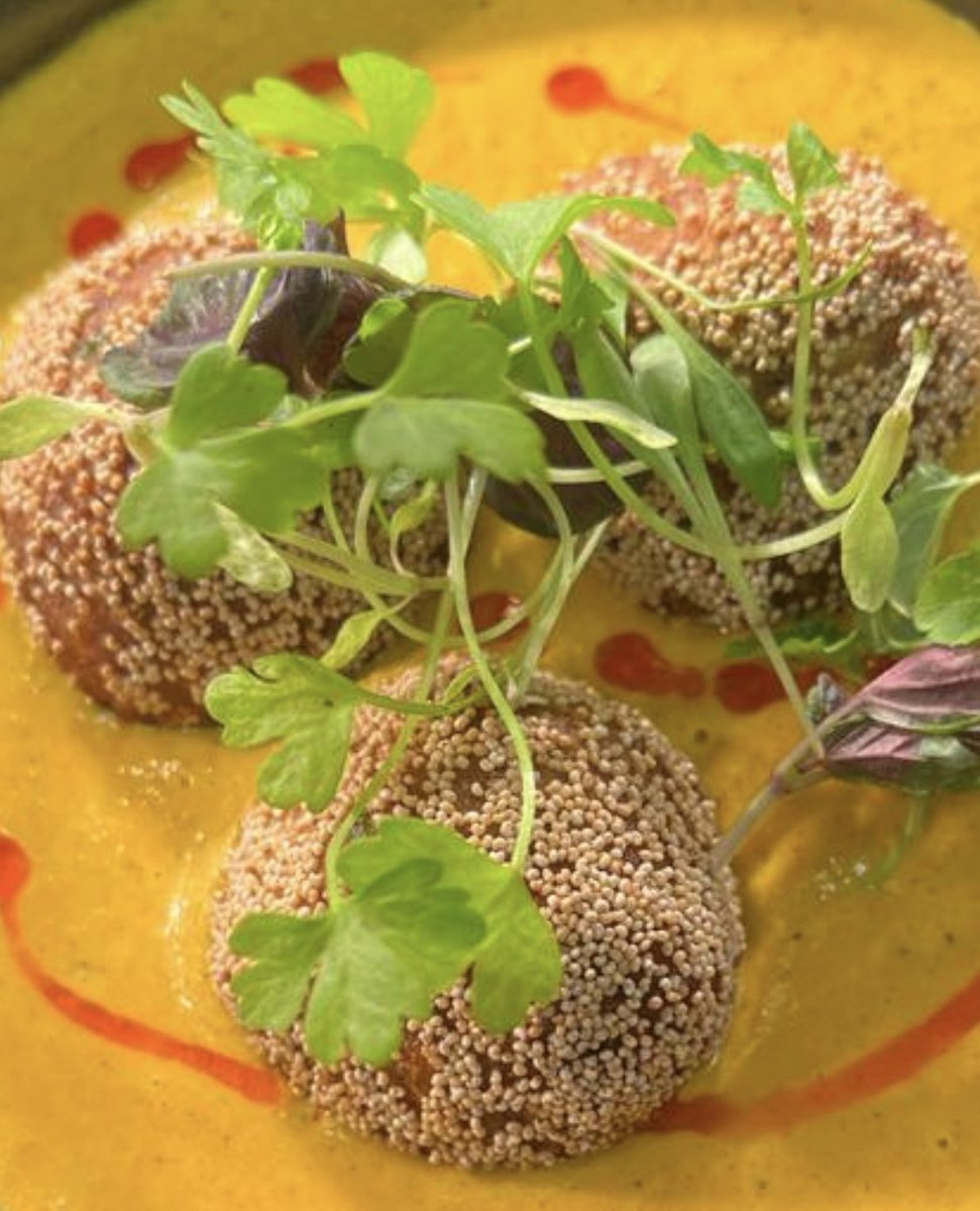 rajesh suri tweet media