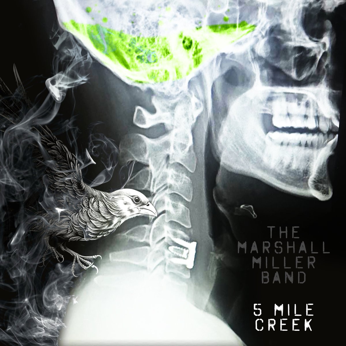 SankerDesigns's tweet photo. Oh baby, this was a fun one!

We were asked to create this cover for the upcoming The Marshall Miller Band  album dropping this summer; "5 Mile Creek".  

#albumart #albumdesigner #albumartist #graphicdesigner #springfieldmo #Sankerdesigns https://t.co/Dn0cDEnZvV