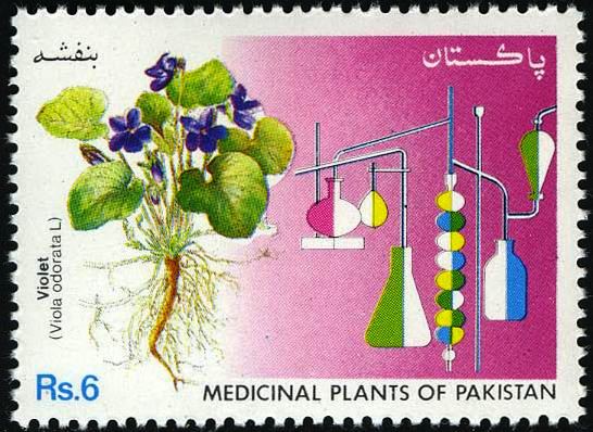 Pakistan Stamp of the day.
🇵🇰-1992

Banafsha بنفشہ or Violet is a species of flowering plant native to Eurasia. The sweet scent of this flower was popular in the late Victorian period, and was used in the production of fragrances and perfumes.

#Stamps #philately
<a href="/PakPostOffice/">Pakistan Post</a>