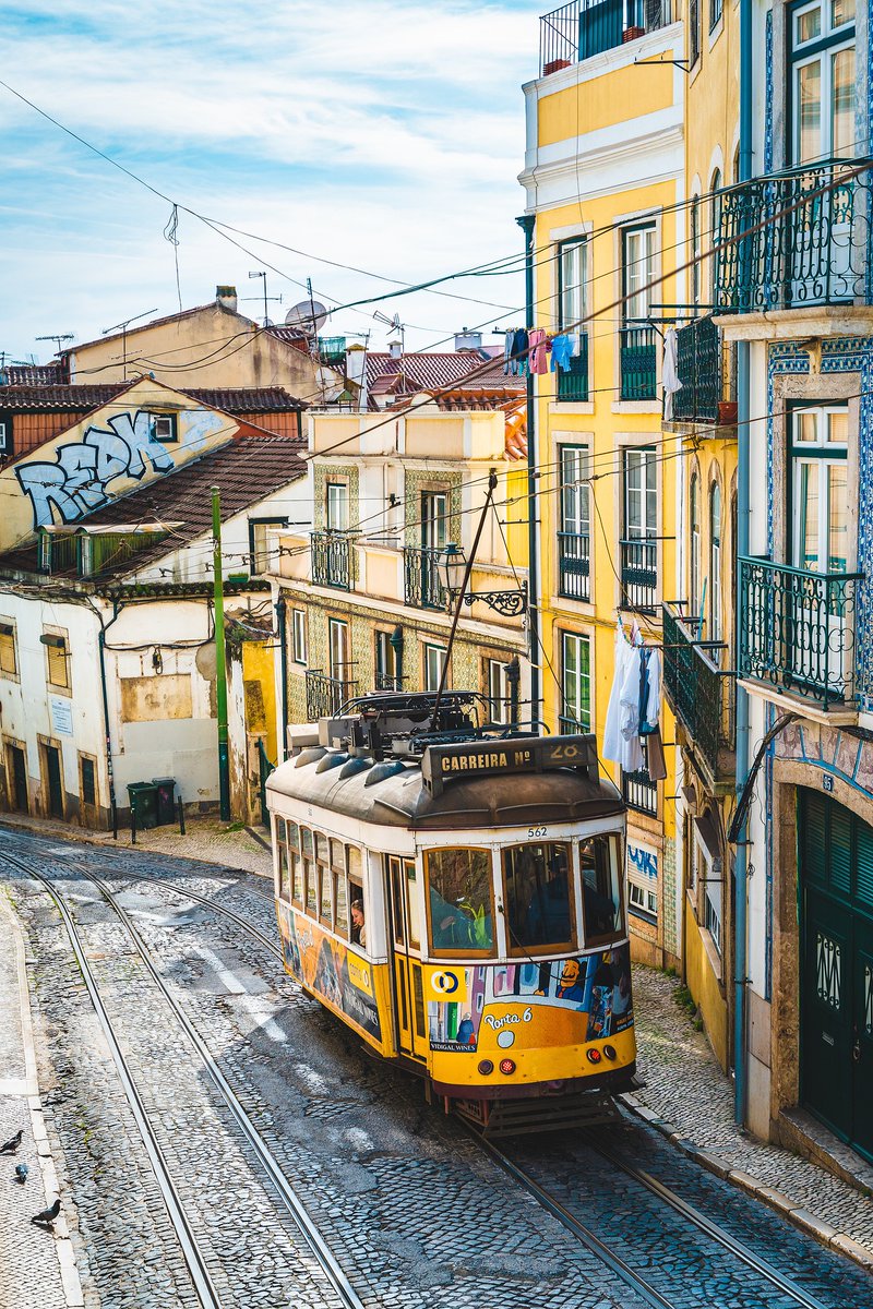 @Tropical Ecology (@soctropecol) on Twitter photo 📢SAVE THE DATE:
#Gtoe2024 will be in #Lisbon 🇵🇹 on the 12th-16th of February. Big thanks to Jorge Palmeirim from <a href="/CE3CResearch/">CE3C</a>
(Centre for Ecology, Evolution & Environmental Changes) at @FC_UL 🤩
RT <a href="/theATBC/">ATBC</a> @PiMForget <a href="/OrozcoterWengel/">P Orozco-terWengel</a> <a href="/NinaFarwig/">Nina Farwig</a> @DammhahnM <a href="/Liklikmasalai/">Vojtech Novotny</a> 📢SAVE THE DATE:
#Gtoe2024 will be in #Lisbon 🇵🇹 on the 12th-16th of February. Big thanks to Jorge Palmeirim from <a href="/CE3CResearch/">CE3C</a>
(Centre for Ecology, Evolution & Environmental Changes) at @FC_UL 🤩
RT <a href="/theATBC/">ATBC</a> @PiMForget <a href="/OrozcoterWengel/">P Orozco-terWengel</a> <a href="/NinaFarwig/">Nina Farwig</a> @DammhahnM <a href="/Liklikmasalai/">Vojtech Novotny</a>