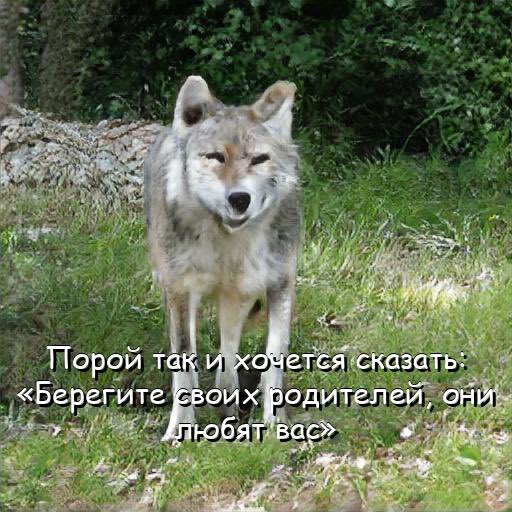 krtshchk's tweet photo. https://t.co/8nkB6YeR0c