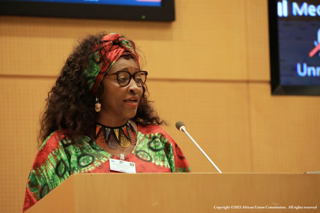 AU_DARBE's tweet photo. The High-Level Conference on Implementation of outcomes of #CBDCOP15 & #CITESCOP19, was opened by Amb. @JosefaSacko & Director #SEBE at @_AfricanUnion HQ. Over 250 delegates from MemberStates, #UN, CSOs attended & discussed #Post2020GBF #Biodiversity, #Wildlife #ClimateChange https://t.co/cH2nG1ycad