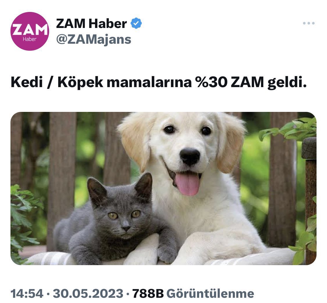 haysevder's tweet photo. Taş mı yiyecekler! BU NASIL ZAM! Bu bir lüks değil, gıda GIDA!!!! https://t.co/0bibOfw5fK