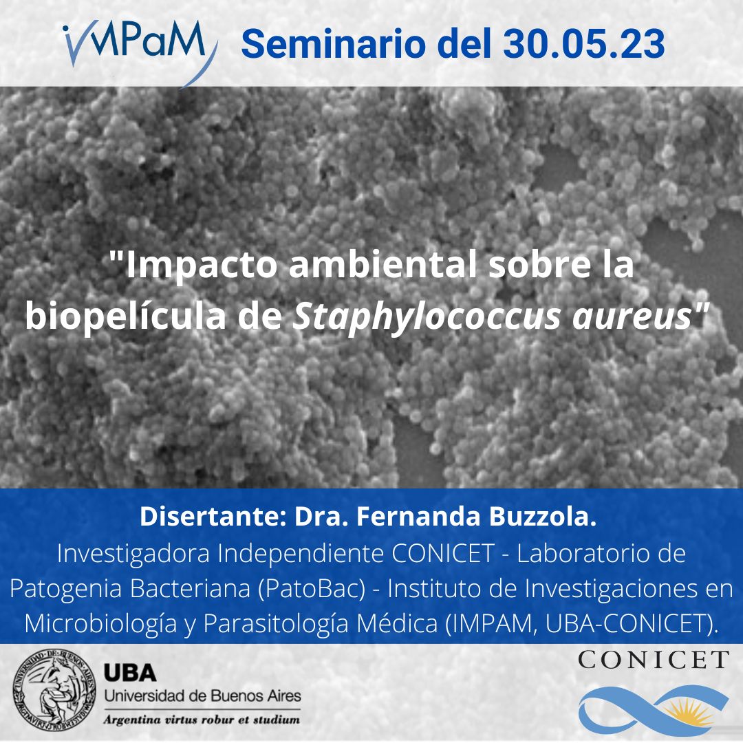 En este 30/05 a las 12:30hs, la Dra. Fernanda Buzzola, disertará el tema: 'Impacto del ambiente sobre la #biopelícula de #Staphylococcusaureus'.

La Dra. Buzzola es investigadora independiente del CONICET - Laboratorio de Patogenia Bacteriana (PatoBac - impam.conicet.gov.ar/patobac/)