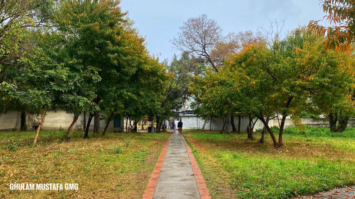 jhirmir's tweet photo. Quaid i Azam University Islamabad #qau #qauislamabad #bestuniversityinpakistan #minipakistan https://t.co/zFsCakk7xD
