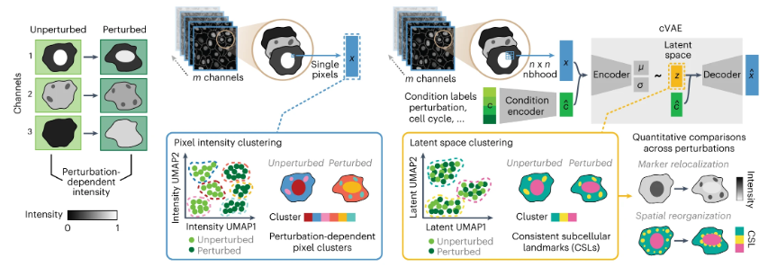 Nature Methods tweet media