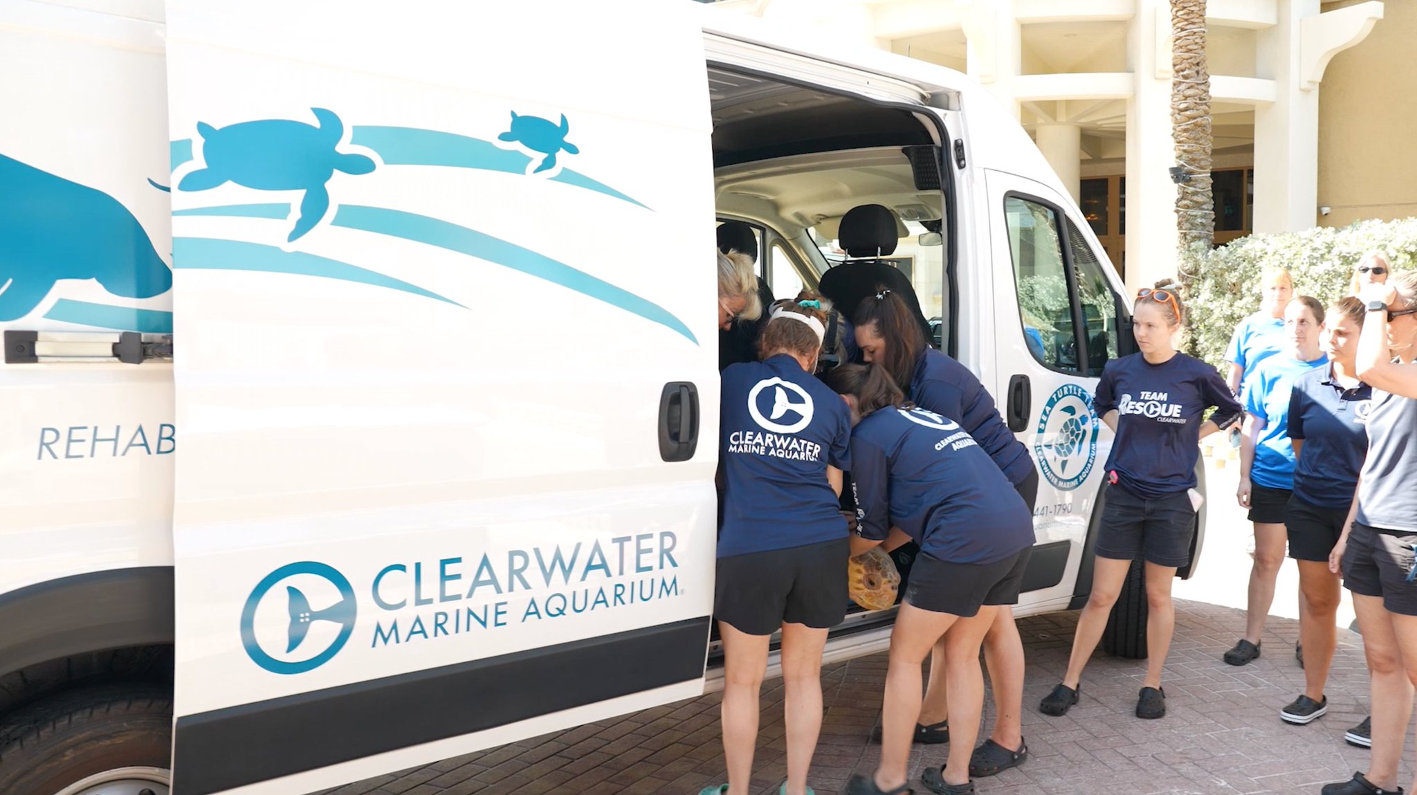 Clearwater Aquarium on Twitter "The grant we were awarded this past year funded a new, larger