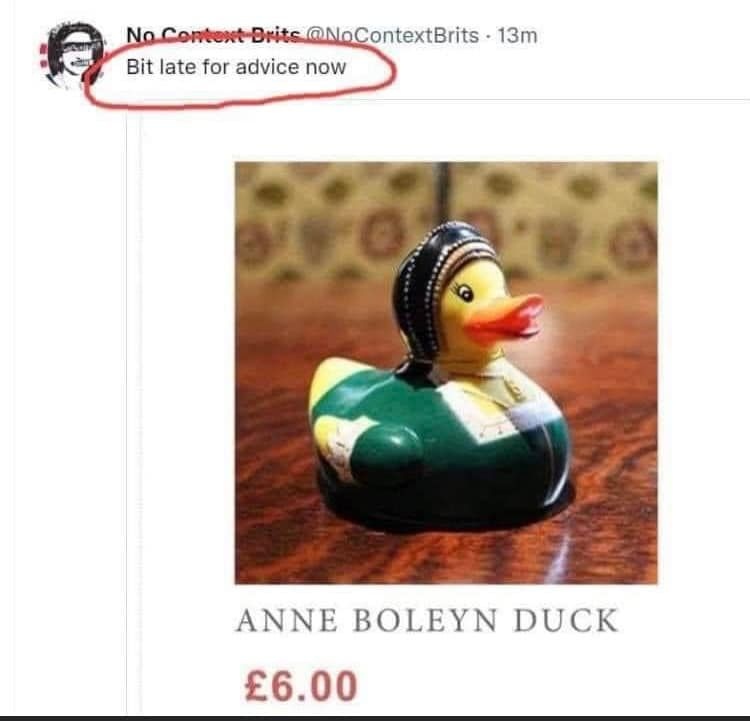 pelicanfreak's tweet image. Dark. But legit.

#HistoryProblems #DarkHistory #DarkJokes #AnneBoleyn