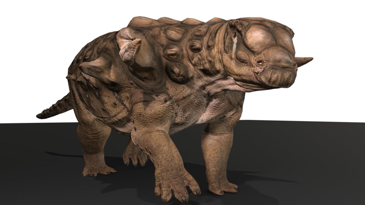 Pangea Survival Game tweet media