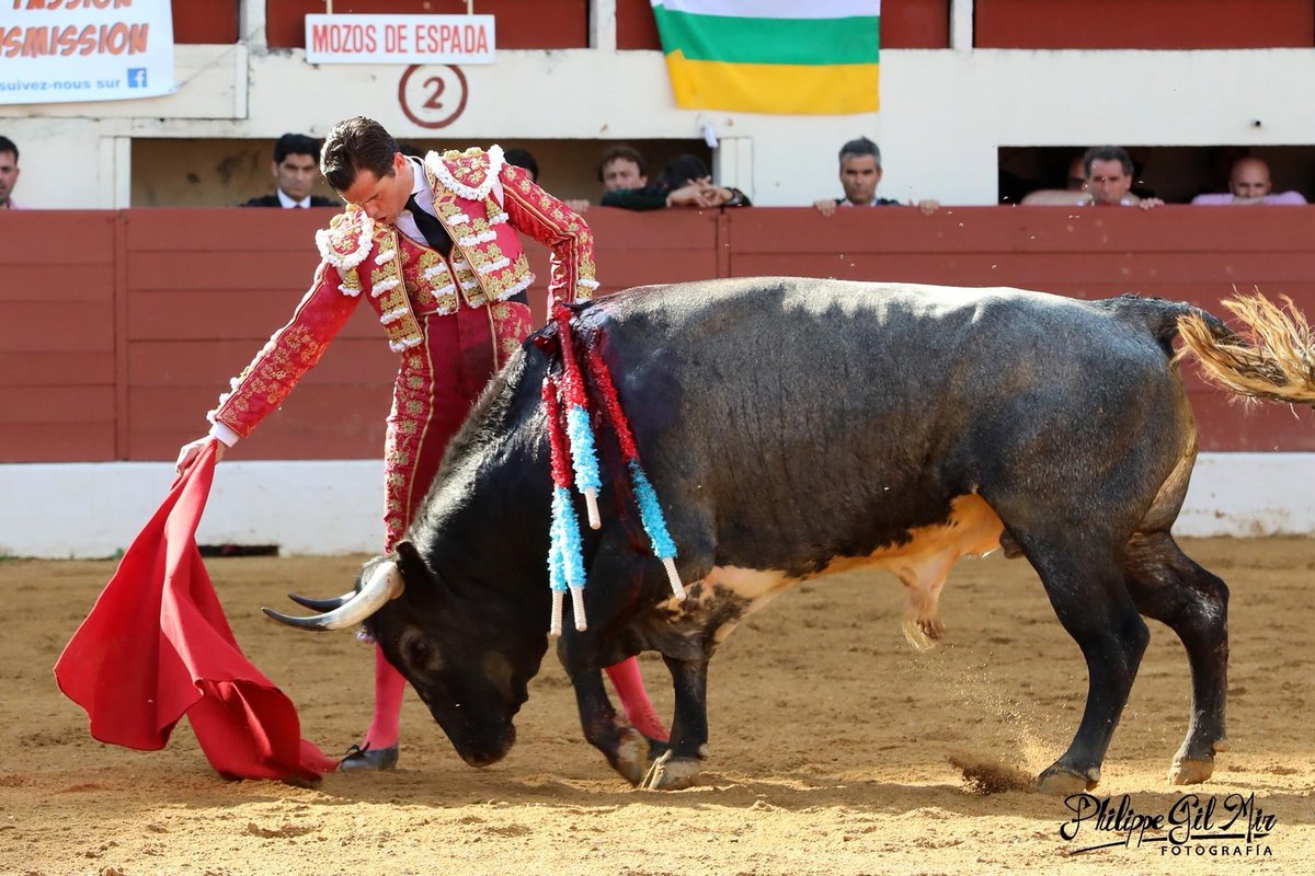 Daniel Luque haciendo el toreo frente a “Barquero-16” de <a href="/rehuelga/">rafael buendia</a> 
Que manera de torear, que manera de emocionar. Una pena la maldita espada. 
#VicFezensac